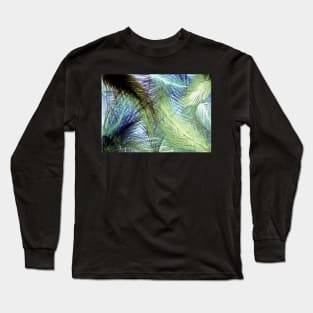 GOLD BLUE FEATHERS DECO POSTER ART PRINT TROPICAL DESIGN Long Sleeve T-Shirt